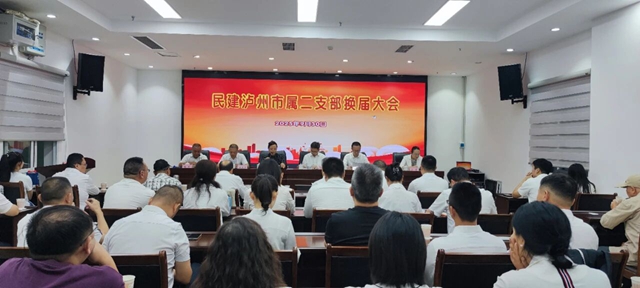 薪火相传启新程 团结奋进谱新篇｜民建泸州市属二支部圆满完成换届选举工作