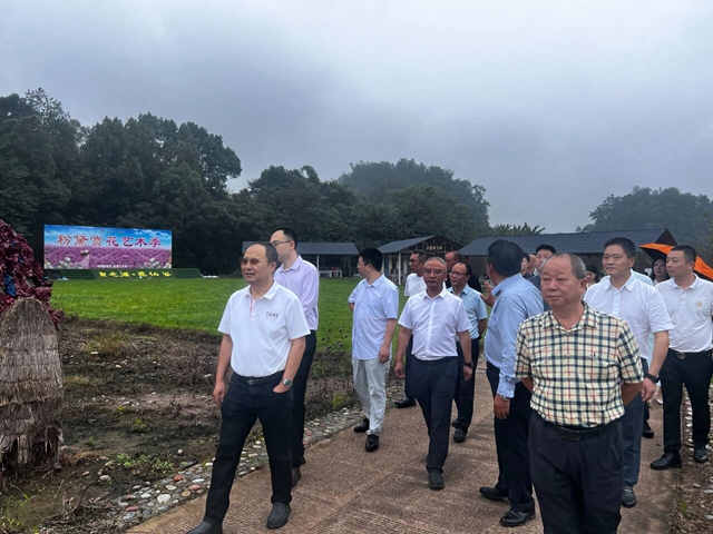 民三2.jpg