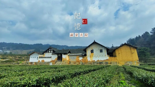 79.jpg