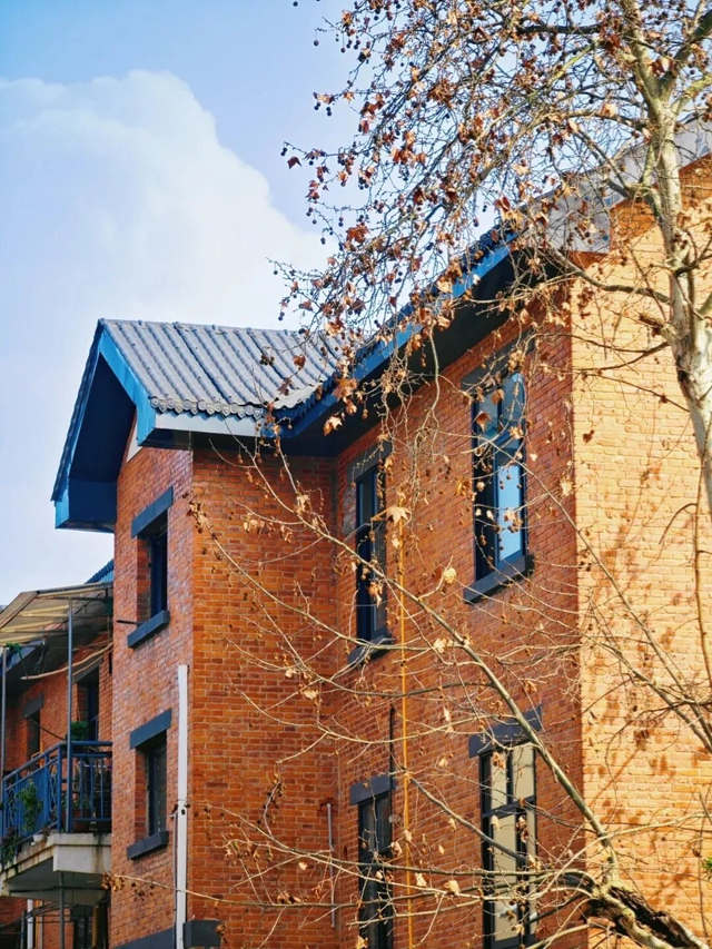 64013.jpg