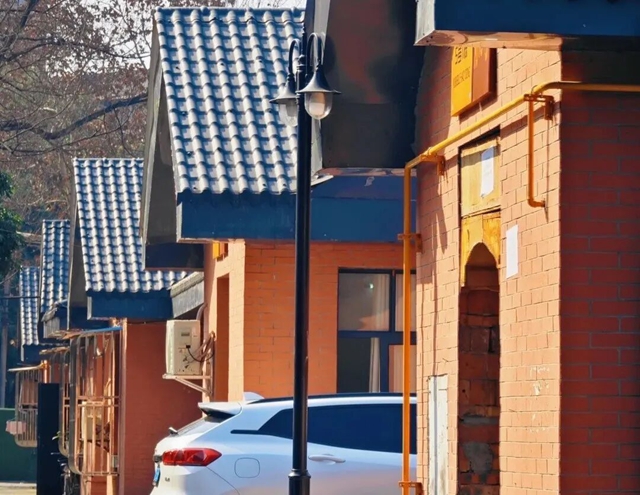 64016.jpg