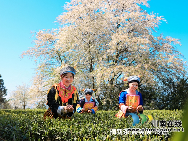 大假期间在古蔺县诗书画院享受精神盛宴