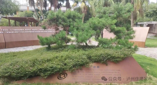 发2.jpg