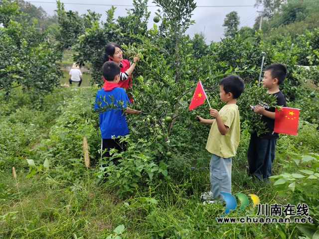 孩子们在果园探秘2.jpg