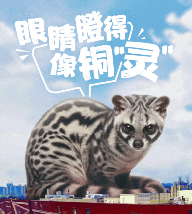 6.gif