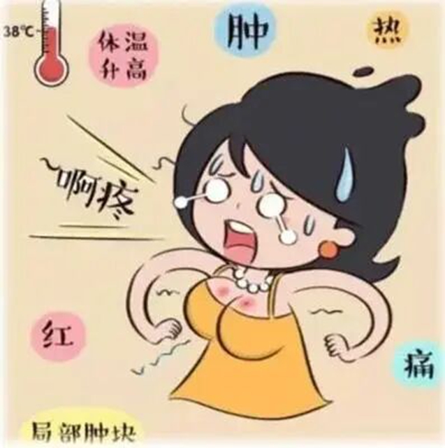 28岁妈妈胀奶，胸部硬得像石头