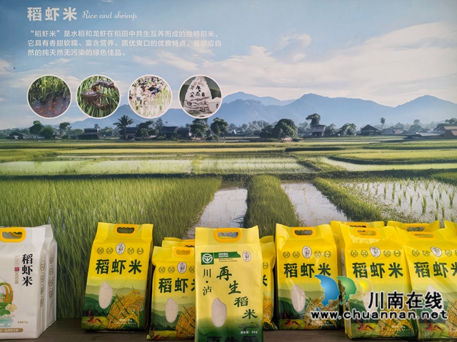 再生稻米和稻虾米（曾佐然摄）.jpg
