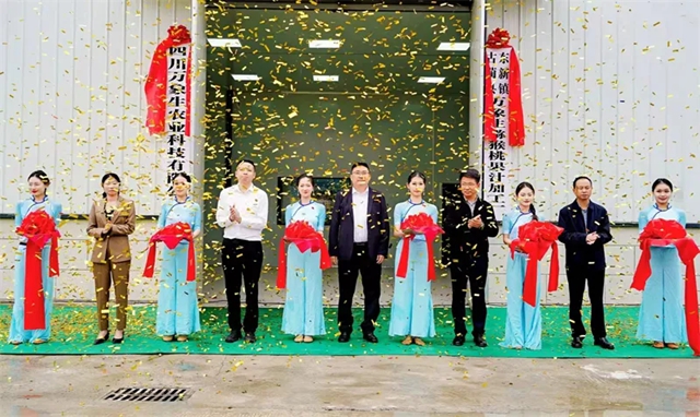 tao10.jpg