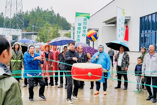 tao7.jpg