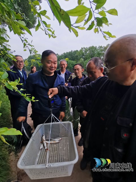 称重报战绩2.jpg
