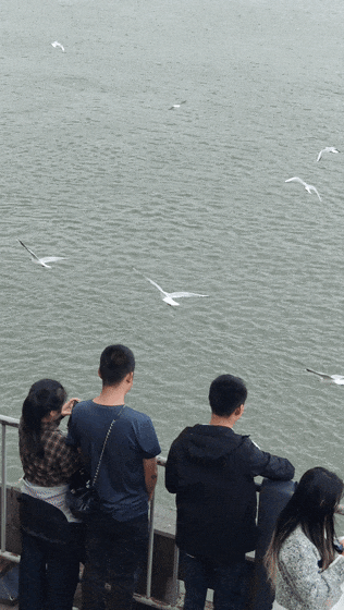 3.gif