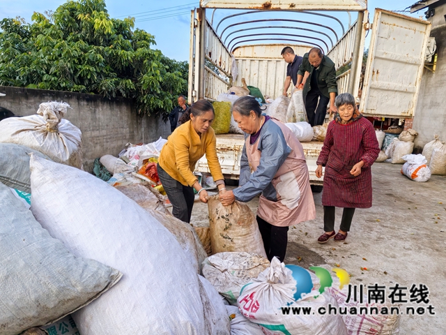 转运黄桅子（曾佐然摄）.jpg