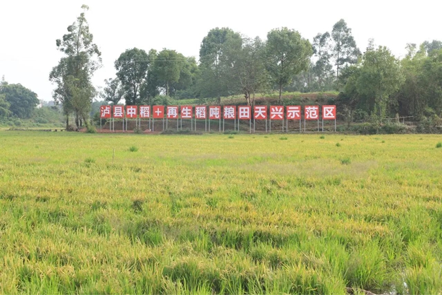 米4.jpg