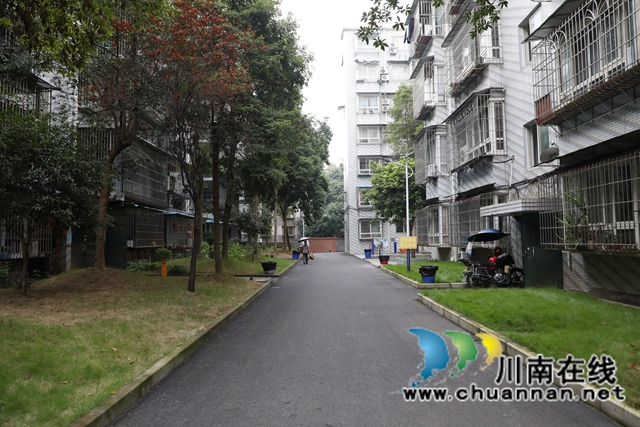 重新铺设的沥青路.JPG
