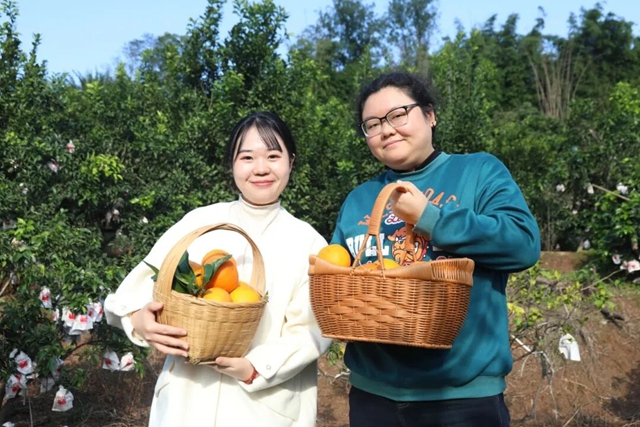 来龙马潭的橙园打卡,解锁初冬的第一口甜!(图9) 9.jpg