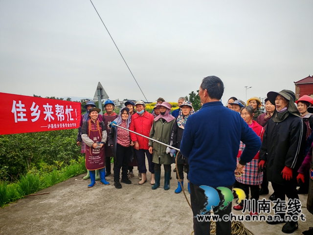 泸县佳乡劳务专合社劳务经纪人彭丽邀请农技人员到泸县金明农业发展专业合作社柠檬基地开展果树病虫害防治培训.jpg