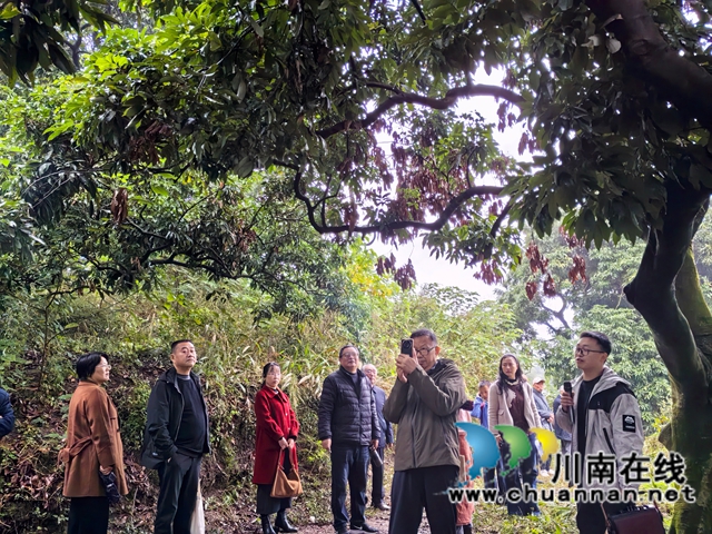 诗画云龙 古韵新声｜泸县诗词楹联学会走进云龙镇开展采风创作活动
