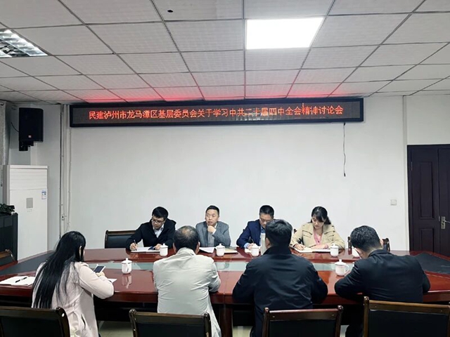 凝心铸魂强根基 团结奋进建新功｜民建龙马潭区基层委学习贯彻中共二十届四中全会精神
