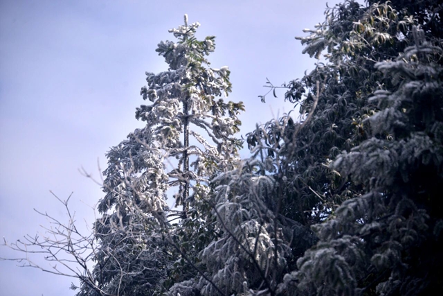 雪1.jpg