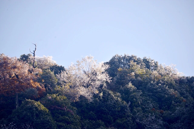 雪2.jpg