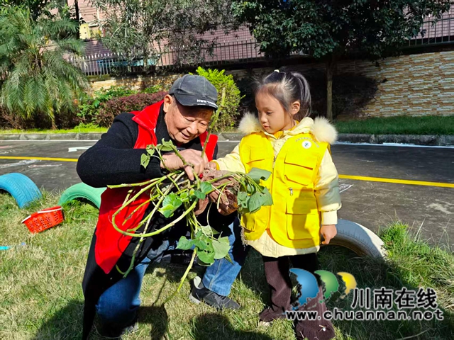 银龄助成长 农耕传文化|泸县玄滩镇关工委农耕文化宣传活动走进幼儿园(图6) 农6.jpg