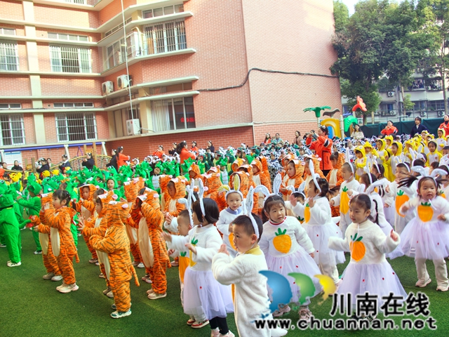 IMG_20251128_154319.jpg