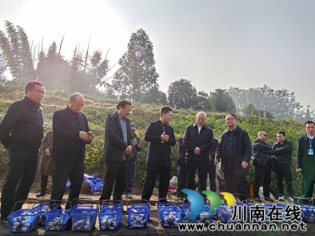 现场参观赤松茸（曾佐然摄）.jpg