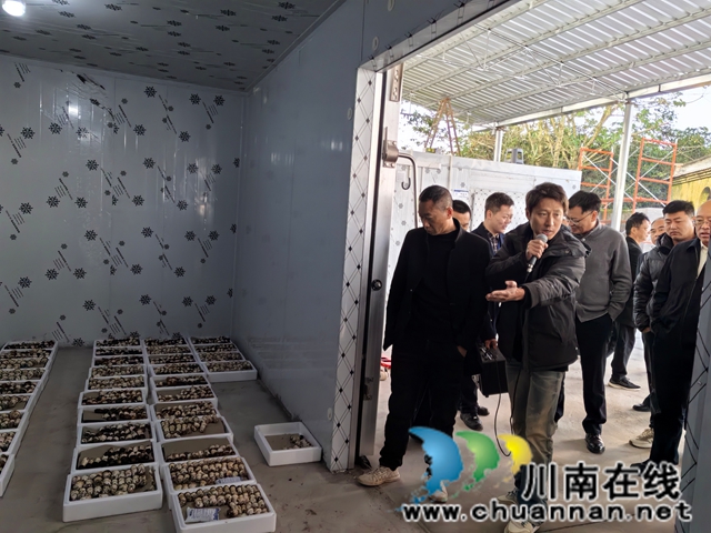 现场参观赤松茸冷冻（曾佐然摄）.jpg