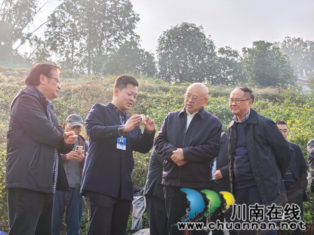 现场讲解赤松茸（曾佐然摄）.jpg