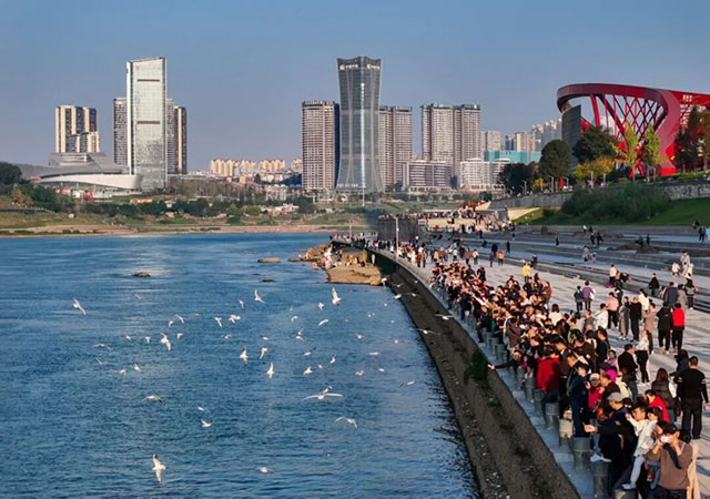 二登榜单!宜宾入选“2025年度活力城市”案例!(图3) 3.jpg