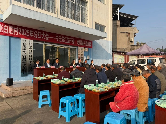分红1.jpg