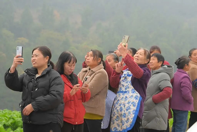 路2.jpg