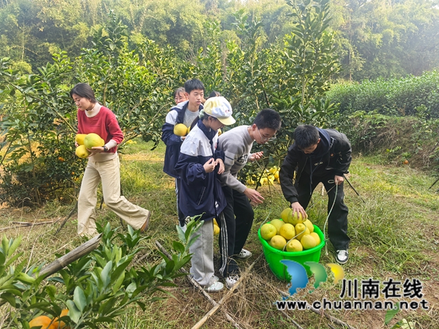 采6.jpg