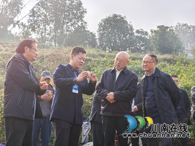 现场讲解赤松茸（曾佐然摄）.jpg