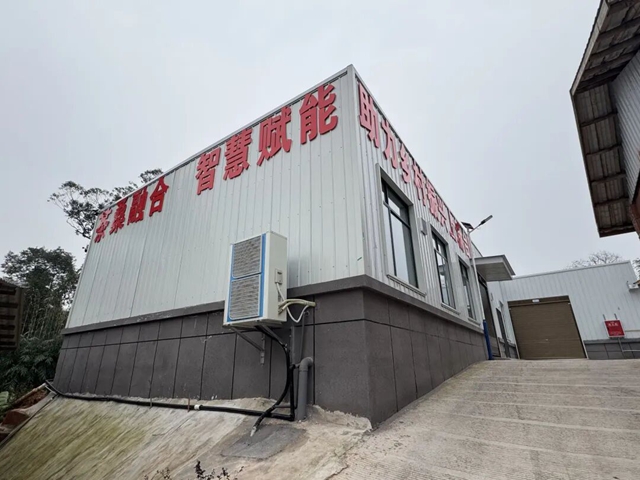 泸州纳溪：小小智能茶桑基地，能否打通生态、经济“双循环”？丨四中全会精神在基层