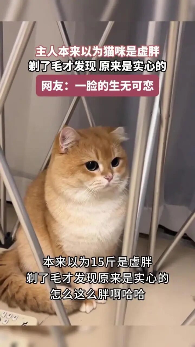 重4.jpg