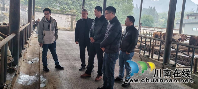省级科技特派员赴叙永县开展技术指导助力乡村振兴(图2) 实地走访图片.jpg