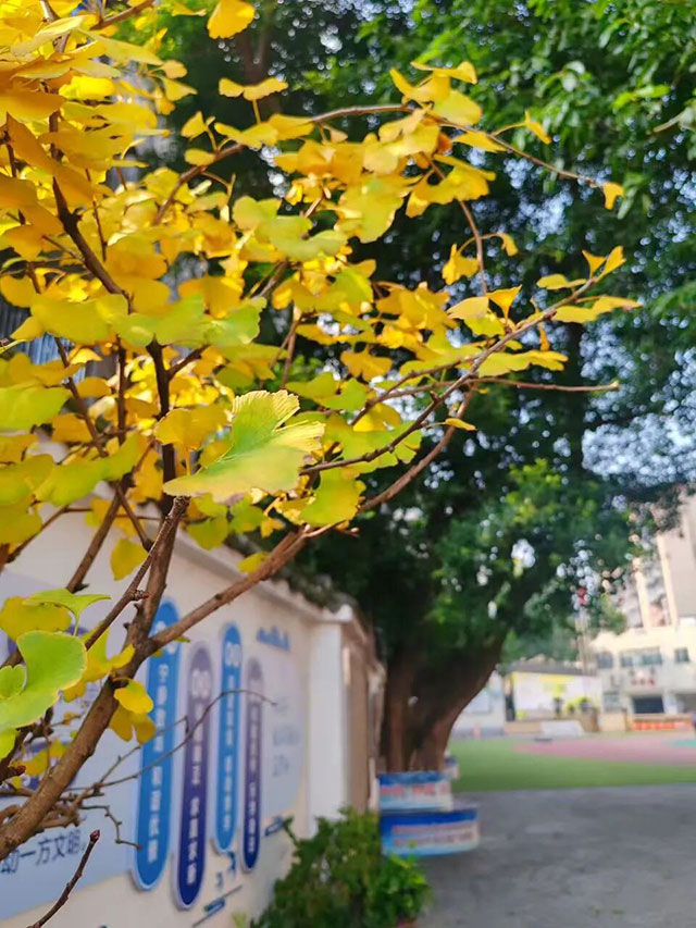 10040.jpg