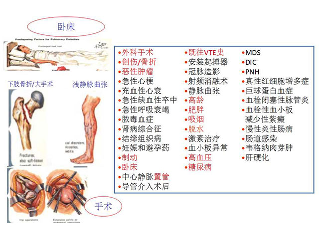 图片8.jpg