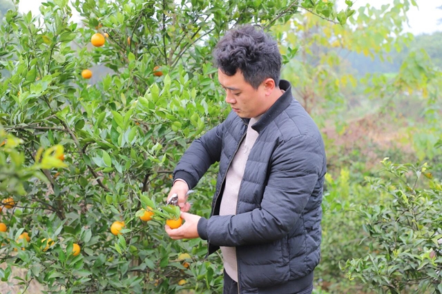 天兴4.jpg