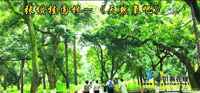 桂1.png