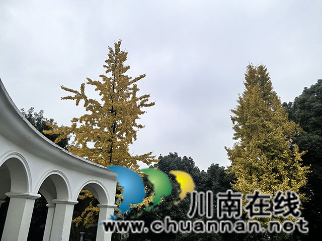 图片2.jpg