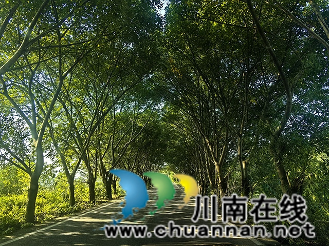 图片3.jpg