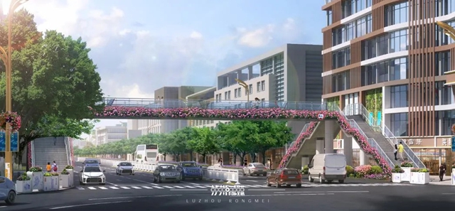 树3.jpg
