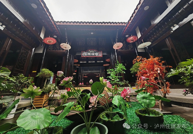 泸州7.jpg