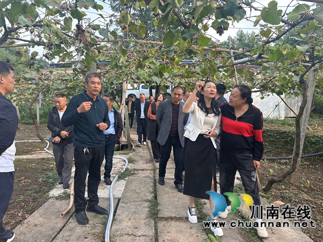 泸县返乡创业指导员杜相南（前排左二）在自己创办的泸县紫桂缘家庭农场向有创业意愿前来参观的返乡人员分享创业经验.jpg
