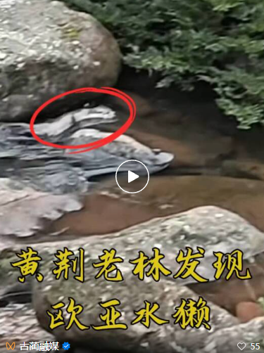 QQ浏览器截图20251223110554.png