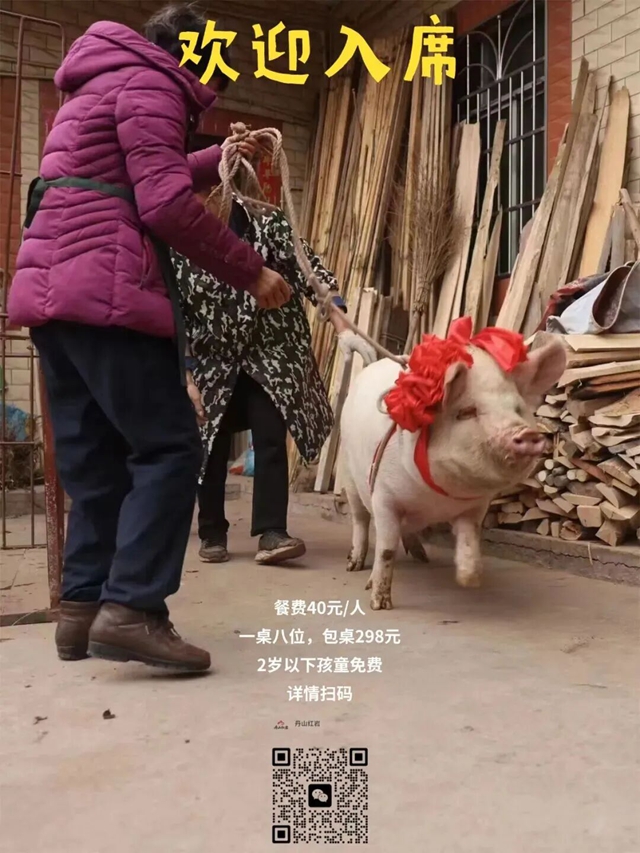 43.jpg
