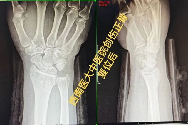 飞4.jpg