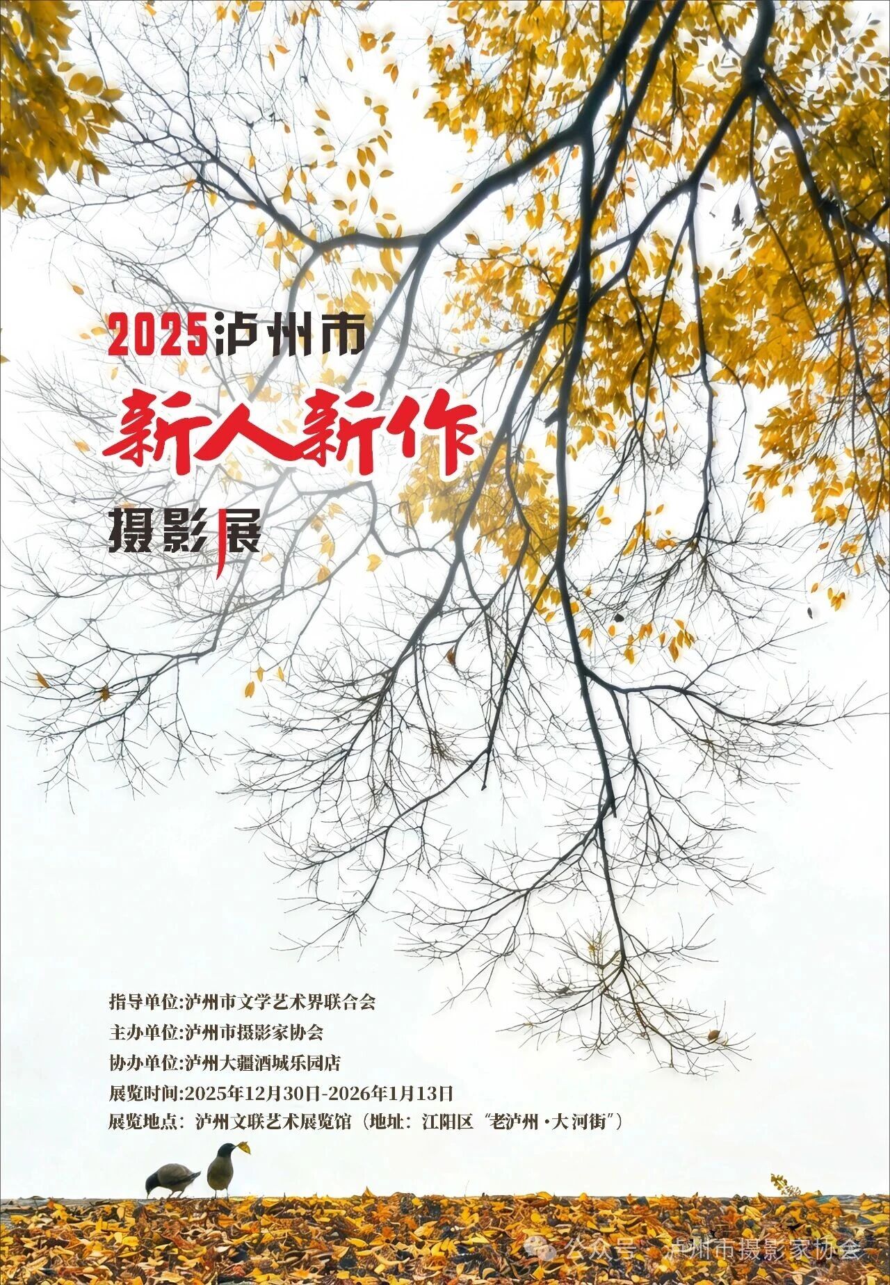 【展讯】2025泸州市新人新作摄影展12月30日开展